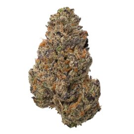 Daywalker Diesel (28.279%) THCa Flower