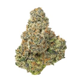 Mango Haze (31.411%) THCa Flower
